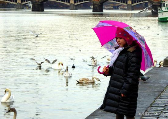 【<a href='http://travel.sina.com.cn/bulage-lvyou/?from=b-keyword' >布拉格</a>影集3】伏尔塔瓦河的浪漫冬景