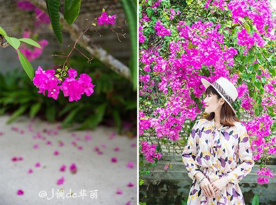 【<a href='http://travel.sina.com.cn/maerdaifu-lvyou/?from=b-keyword' >马尔代夫</a>】四季库达岛:小而美的<a href='http://travel.sina.com.cn/maerdaifu-lvyou/?from=b-keyword' >马尔代夫</a>风情后花园