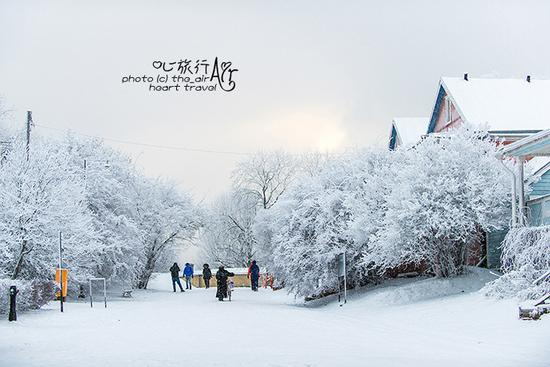 <a href='http://travel.sina.com.cn/fenlan-lvyou/?from=b-keyword' >芬兰</a>|<a href='http://travel.sina.com.cn/heerxinji-lvyou/?from=b-keyword' >赫尔辛基</a>·无雪不冬天