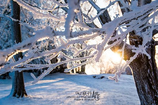 <a href='http://travel.sina.com.cn/fenlan-lvyou/?from=b-keyword' >芬兰</a>|<a href='http://travel.sina.com.cn/heerxinji-lvyou/?from=b-keyword' >赫尔辛基</a>·无雪不冬天