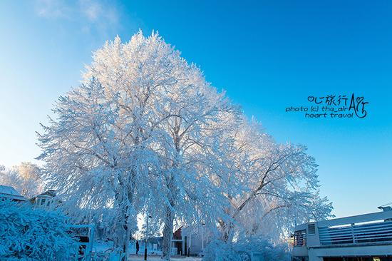 <a href='http://travel.sina.com.cn/fenlan-lvyou/?from=b-keyword' >芬兰</a>|<a href='http://travel.sina.com.cn/heerxinji-lvyou/?from=b-keyword' >赫尔辛基</a>·无雪不冬天