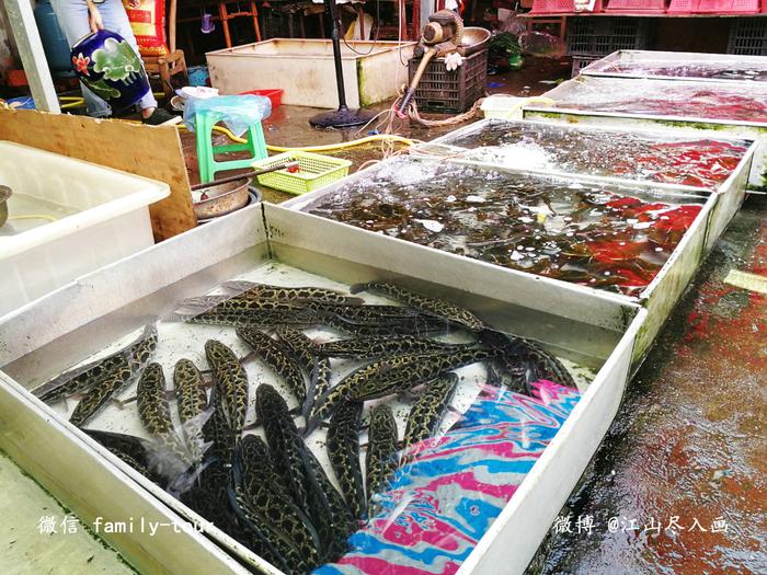 【<a href='http://travel.sina.com.cn/hunan-lvyou/?from=b-keyword' >湖南</a>】解锁“洞庭天下鲜”——寻味<a href='http://travel.sina.com.cn/yueyang-lvyou/?from=b-keyword' >岳阳</a>