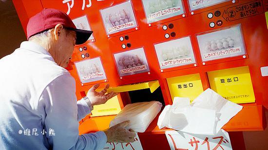 <a href='http://travel.sina.com.cn/chongsheng-lvyou/?from=b-keyword' ><em><em>冲绳</em></em></a>,遇见全<a href='http://travel.sina.com.cn/riben-lvyou/?from=b-keyword' ><em><em>日本</em></em></a>樱花最早盛开的地方
