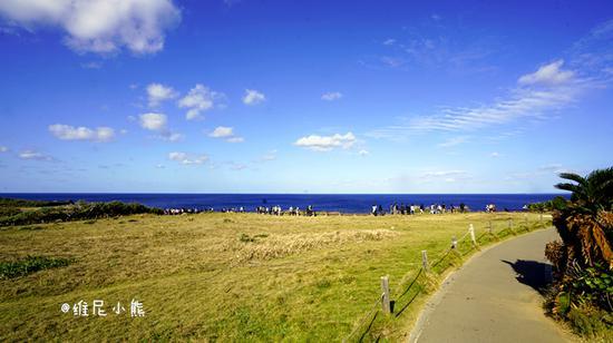 <a href='http://travel.sina.com.cn/chongsheng-lvyou/?from=b-keyword' ><em><em>冲绳</em></em></a>,遇见全<a href='http://travel.sina.com.cn/riben-lvyou/?from=b-keyword' ><em><em>日本</em></em></a>樱花最早盛开的地方