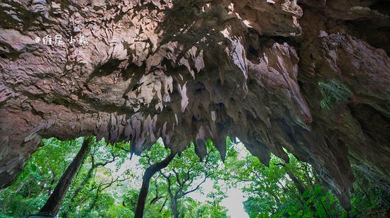 <a href='http://travel.sina.com.cn/chongsheng-lvyou/?from=b-keyword' ><em><em>冲绳</em></em></a>,遇见全<a href='http://travel.sina.com.cn/riben-lvyou/?from=b-keyword' ><em><em>日本</em></em></a>樱花最早盛开的地方