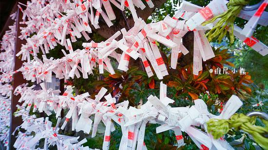 <a href='http://travel.sina.com.cn/chongsheng-lvyou/?from=b-keyword' ><em><em>冲绳</em></em></a>,遇见全<a href='http://travel.sina.com.cn/riben-lvyou/?from=b-keyword' ><em><em>日本</em></em></a>樱花最早盛开的地方