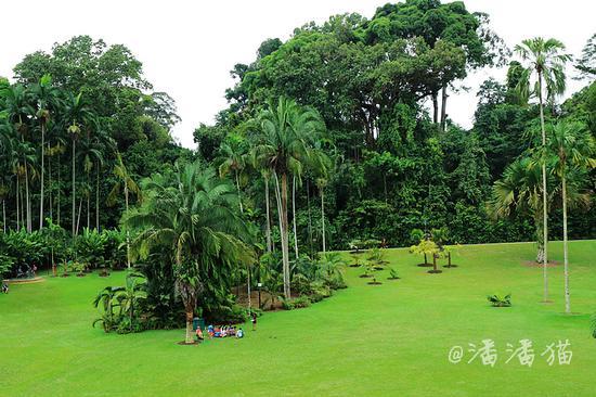 【<a href='http://travel.sina.com.cn/xinjiapo1-lvyou/?from=b-keyword' ><em><em><em><em><em>新加坡</em></em></em></em></em></a>】隐匿于百年植物园中的高颜值米其林餐厅