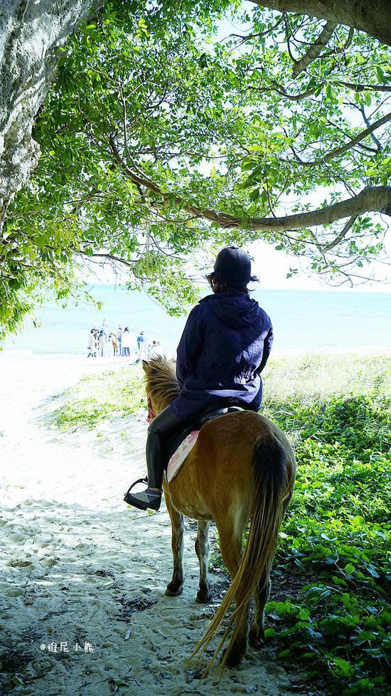 <a href='http://travel.sina.com.cn/chongsheng-lvyou/?from=b-keyword' ><em><em>冲绳</em></em></a>,遇见全<a href='http://travel.sina.com.cn/riben-lvyou/?from=b-keyword' ><em><em>日本</em></em></a>樱花最早盛开的地方