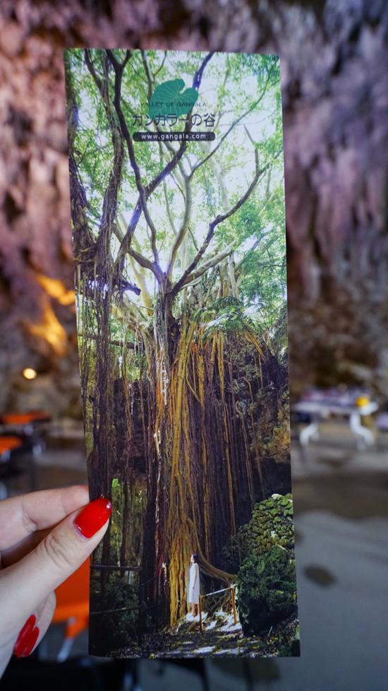 <a href='http://travel.sina.com.cn/chongsheng-lvyou/?from=b-keyword' ><em><em>冲绳</em></em></a>,遇见全<a href='http://travel.sina.com.cn/riben-lvyou/?from=b-keyword' ><em><em>日本</em></em></a>樱花最早盛开的地方
