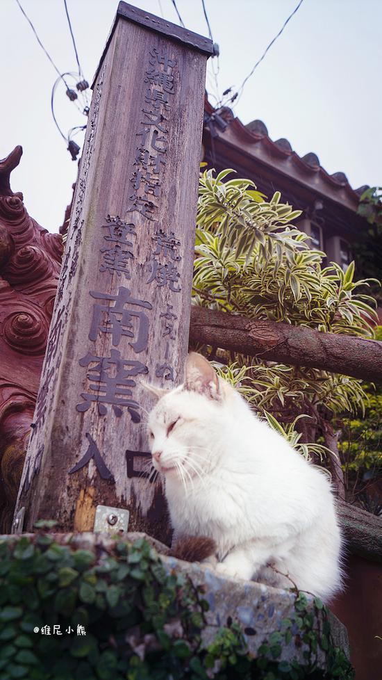 <a href='http://travel.sina.com.cn/chongsheng-lvyou/?from=b-keyword' ><em><em>冲绳</em></em></a>,遇见全<a href='http://travel.sina.com.cn/riben-lvyou/?from=b-keyword' ><em><em>日本</em></em></a>樱花最早盛开的地方