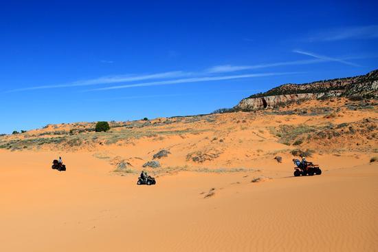 珊瑚粉红沙丘州立公园(Coral Pink Sand Dunes State Park)©长腿叔叔