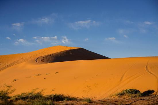珊瑚粉红沙丘州立公园(Coral Pink Sand Dunes State Park)©Austen Diamond Photograhy