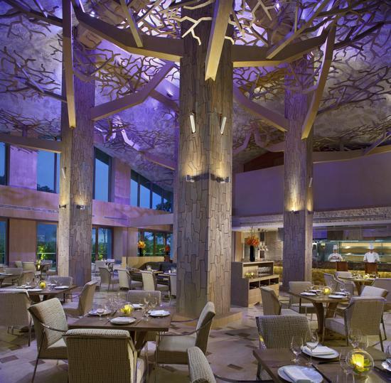 图注:Forest 森餐厅内部 来源:圣淘沙名胜世界