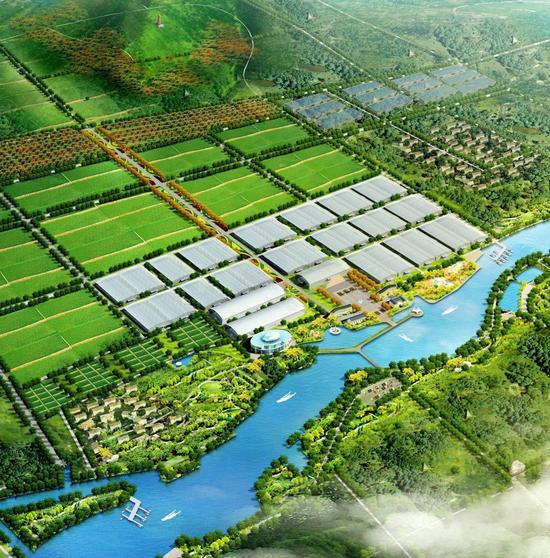 马家沟芹菜健康养生园