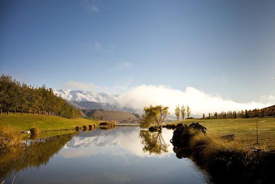 中奥塔哥(Central Otago)地区的壮丽秋色 来源:New Zealand Wine官方网站
