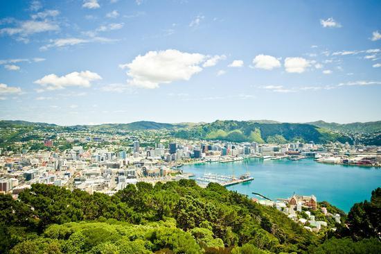 从维多利亚山俯瞰惠灵顿港口、中央商务区和绿化带保护区 图片来源:新西兰旅游局