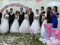 成都一高校全班43人15对情侣,毕业旅行变集体婚礼