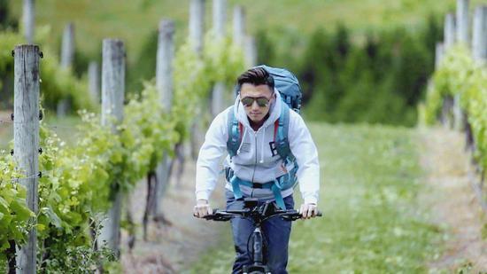 谢霆锋在酒庄悠闲骑行