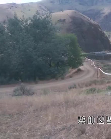 手机新浪网
