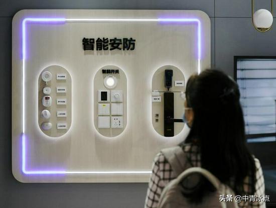 2020年中国国际服务贸易交易会上,观众参观智能安防展台(视觉中国供图)