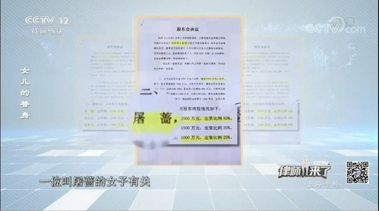 屠蔷利用朱阿姨的信任,在她不知情的情况下使其也成了公司股东