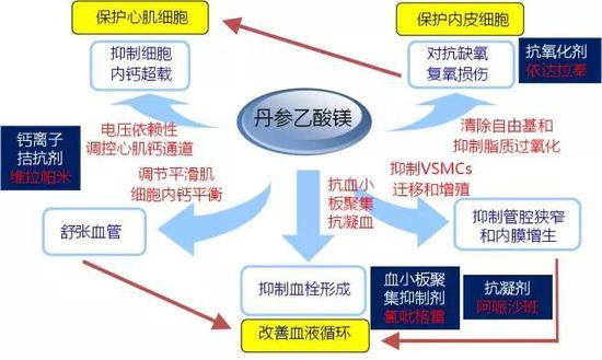 图7。 丹参多酚酸盐通过多种机制和途径保护心血管系统的作用特征