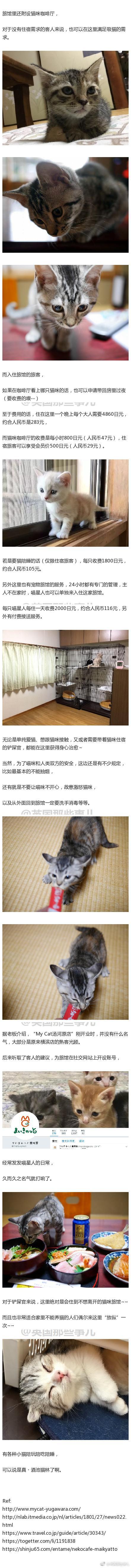 囧哥:男友送女友99朵玫瑰 两天后却被女友3元1朵卖出