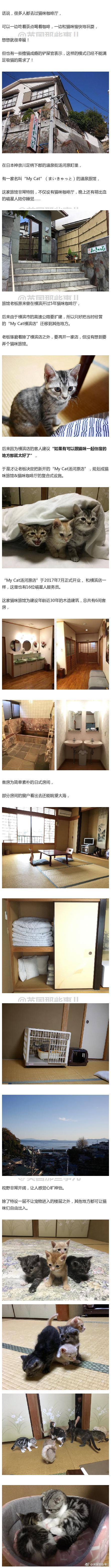 囧哥:男友送女友99朵玫瑰 两天后却被女友3元1朵卖出