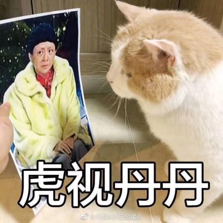 囧哥:肥猪肉逆袭！被科学家选为十大最有营养食物之一