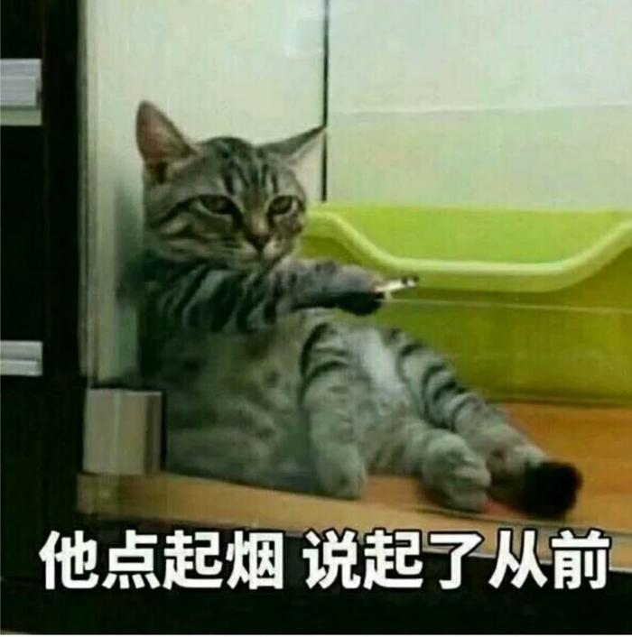 囧哥:猪界毕加索！南非猪会画画，每幅画约1700英镑已卖44幅