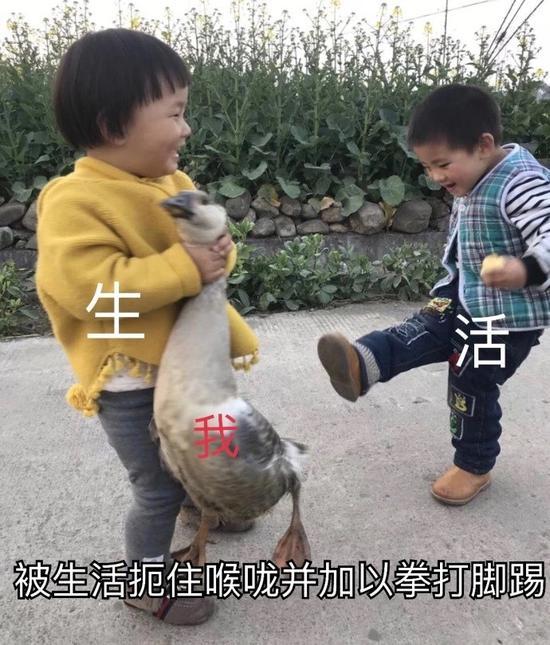 囧哥:杨梅里的虫子可以吃，而且专家说虫子还高蛋白