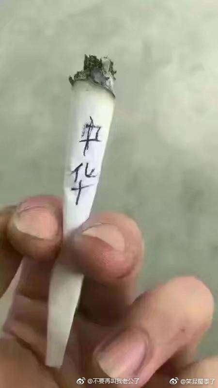 囧哥:缘,妙不可言?男子寻狗掉坑里，回头一看狗竟然也在