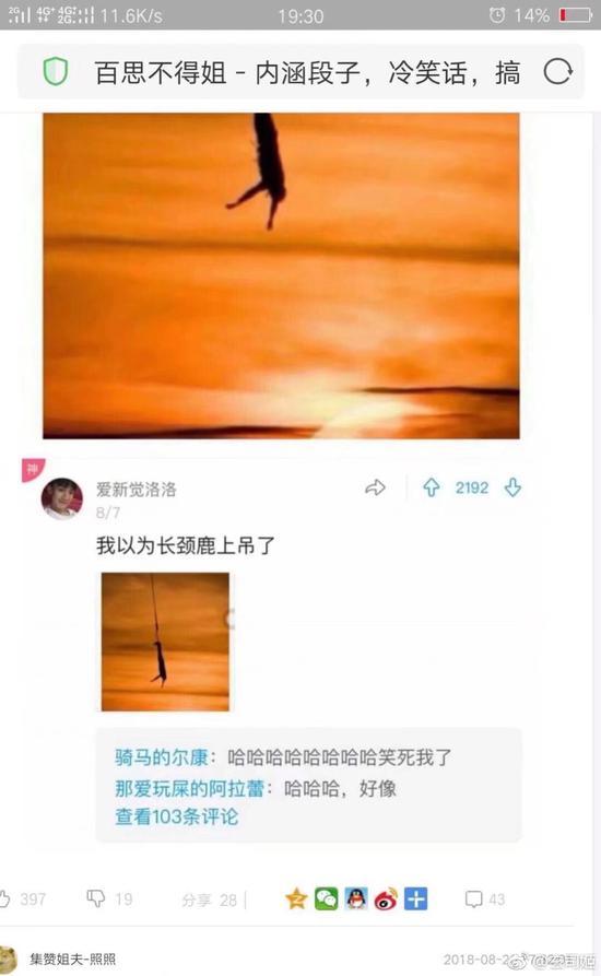 囧哥:大水冲了龙王庙？推特CEO推特账号被封，很大公无私了...