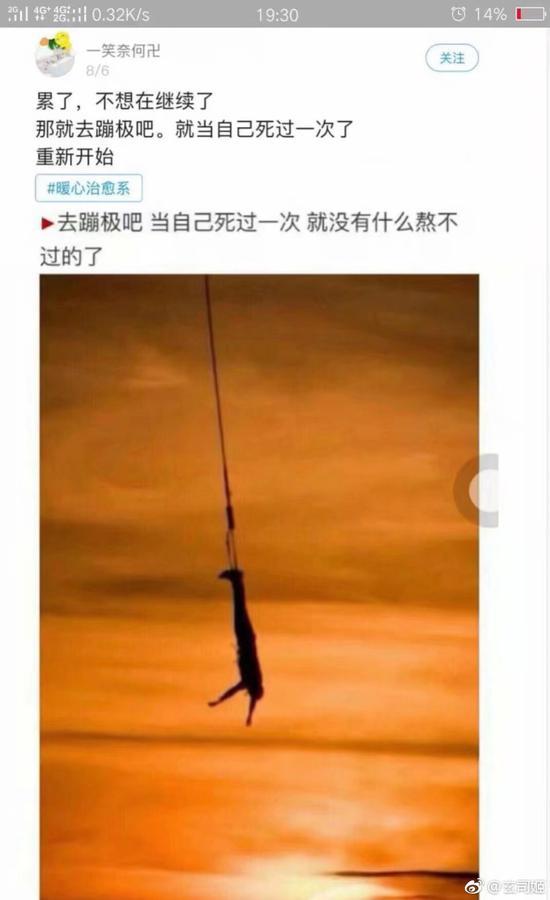 囧哥:大水冲了龙王庙？推特CEO推特账号被封，很大公无私了...