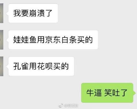 囧哥：史上最背！男子出狱重操旧业，偷十八部手机没一个能用