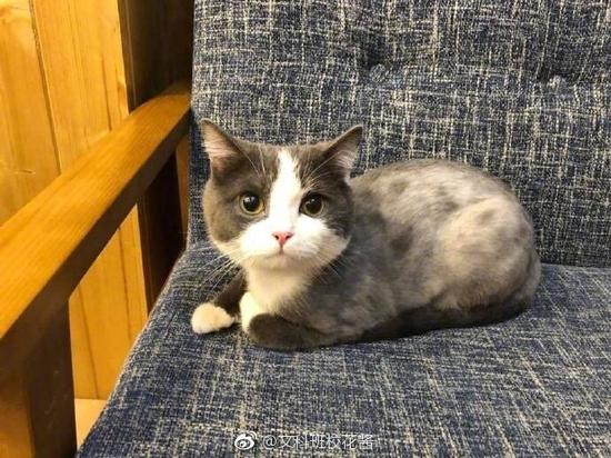 囧哥:入坑胖三斤!《舌尖上的中国》被开发成手游了