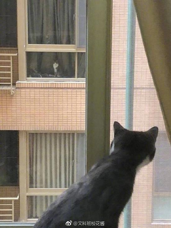 囧哥:入坑胖三斤!《舌尖上的中国》被开发成手游了