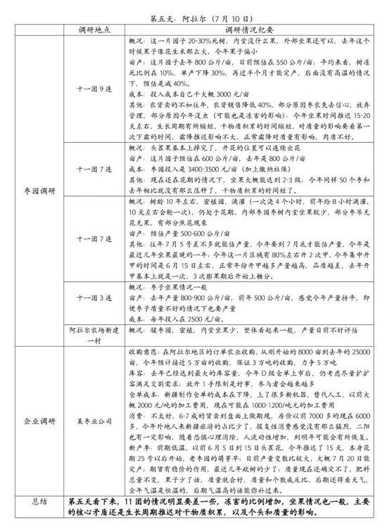 【调研报告】新疆红枣调研总结