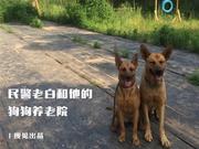 民警老白和他的警犬养老院