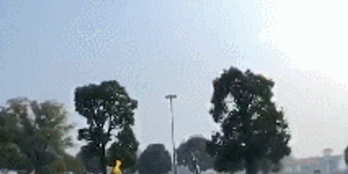 网传杭州富阳野生动物园一只老虎出逃 官方回