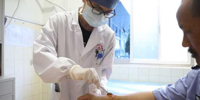 天热宠物发脾气 杭州1医院5月犬伤门诊已达80