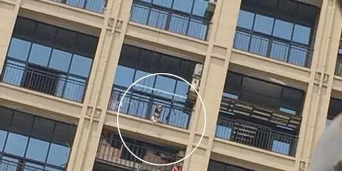杭州1阿拉斯加犬阳台中暑死亡 狗为何很怕热(