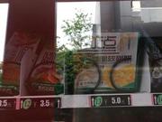 杭州市民自动售货机里买饼干 吃了几块发现已过期