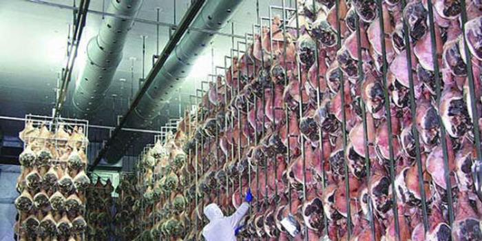 得利斯首创食品安全追溯体系 每头猪都有身份