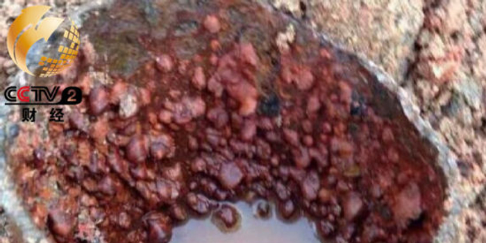 河源自来水因劣质水管重污染