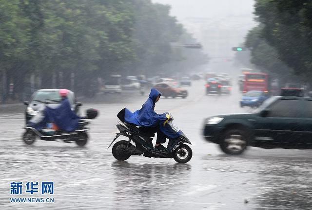 受2015年第22号台风"彩虹"影响,广西大部地区出现强风雨天气,多地发布