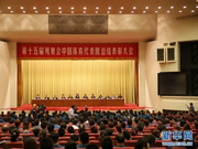 图文-残奥会中国代表团总结表彰大会 总结表彰大会