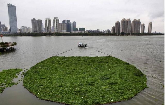 人口上亿的省_曾经灾难深重的河南为何能养活上亿人口近600年河南人口变化表(3)