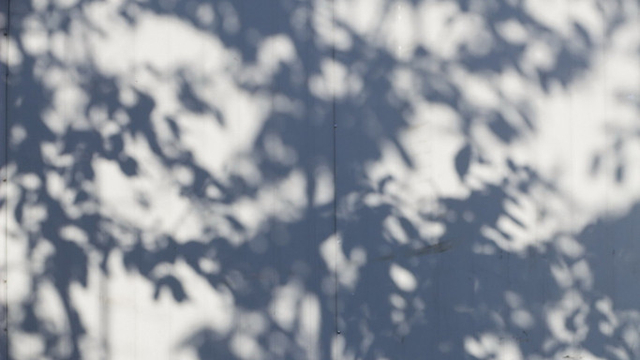 《我是范雨素》家政女工自传爆红网络