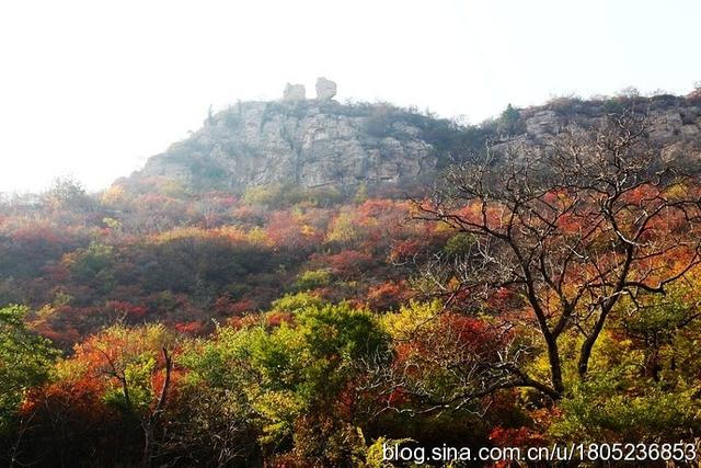 邯郸涉县庄子岭